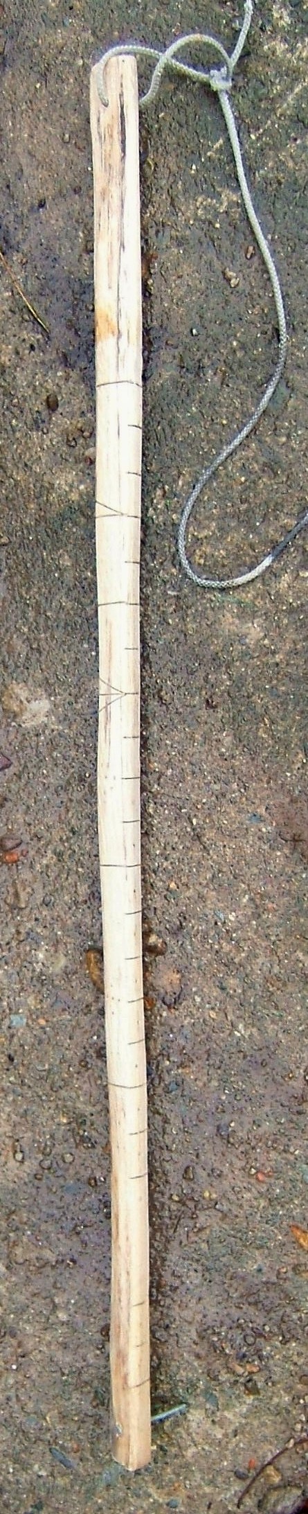 David Ellis's Collyweston stick